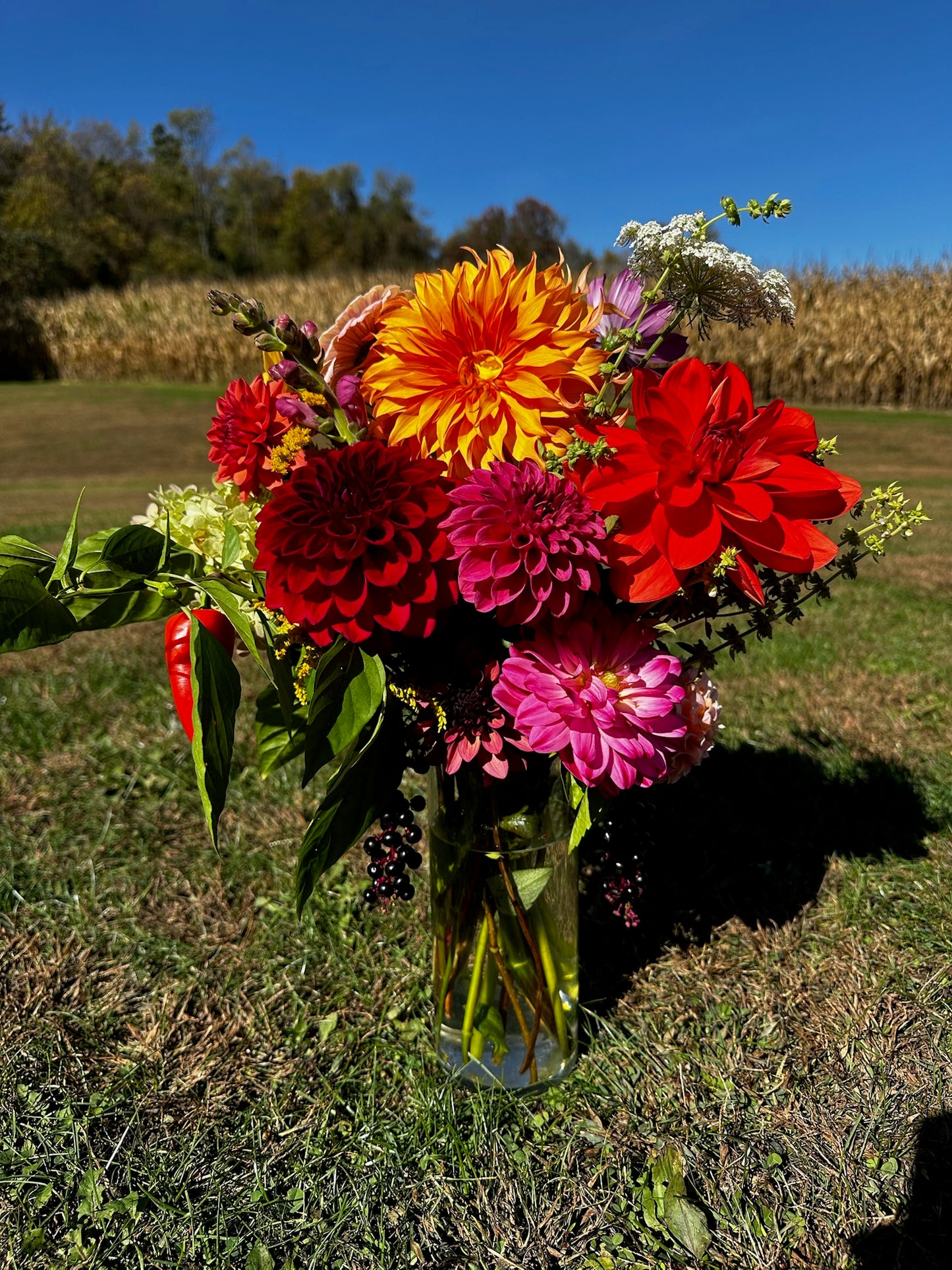 Fall Flower Subscription - 5 weeks