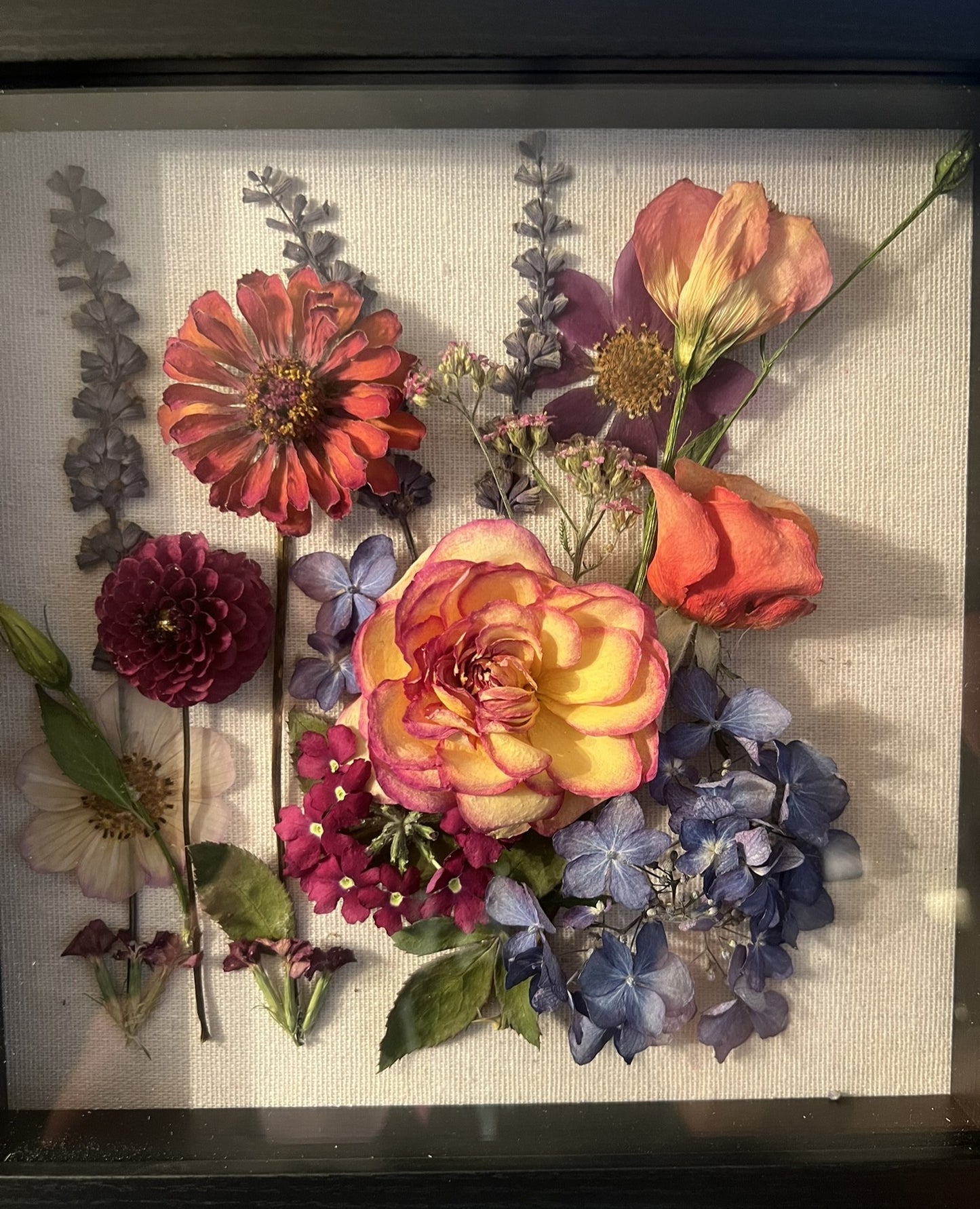 Roses Shadow Box