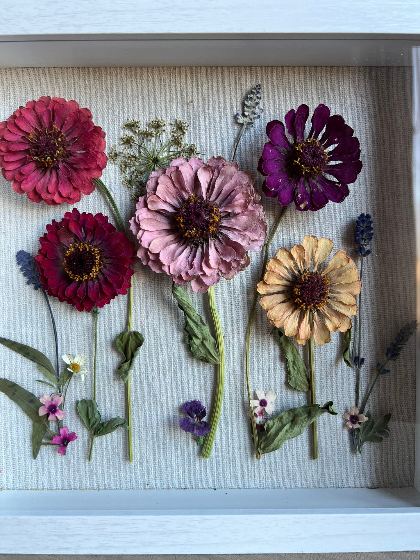 Zinnias Shadow Box