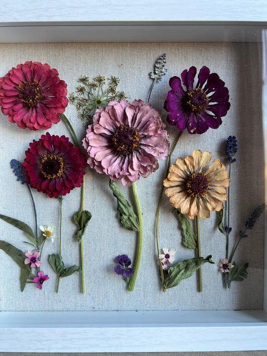 Zinnias Shadow Box