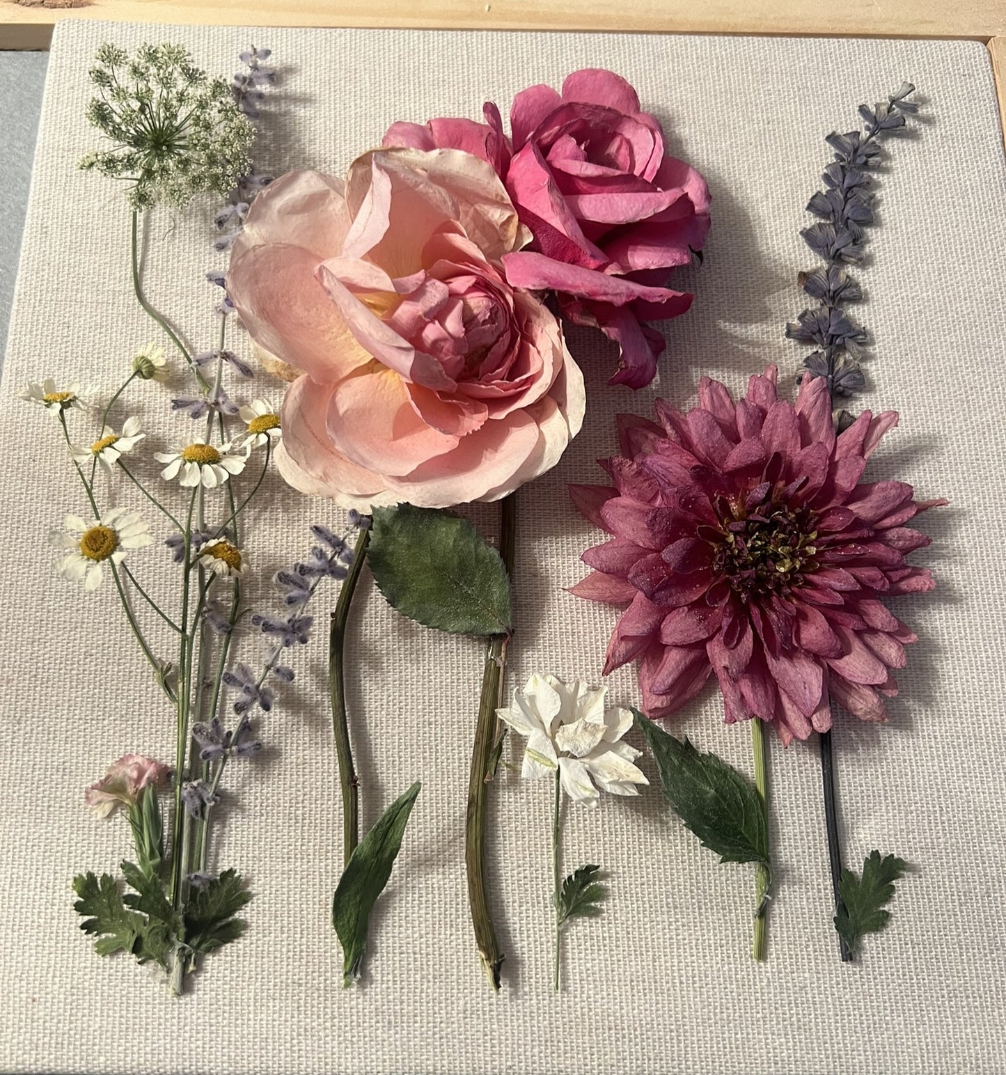 Roses Shadow Box