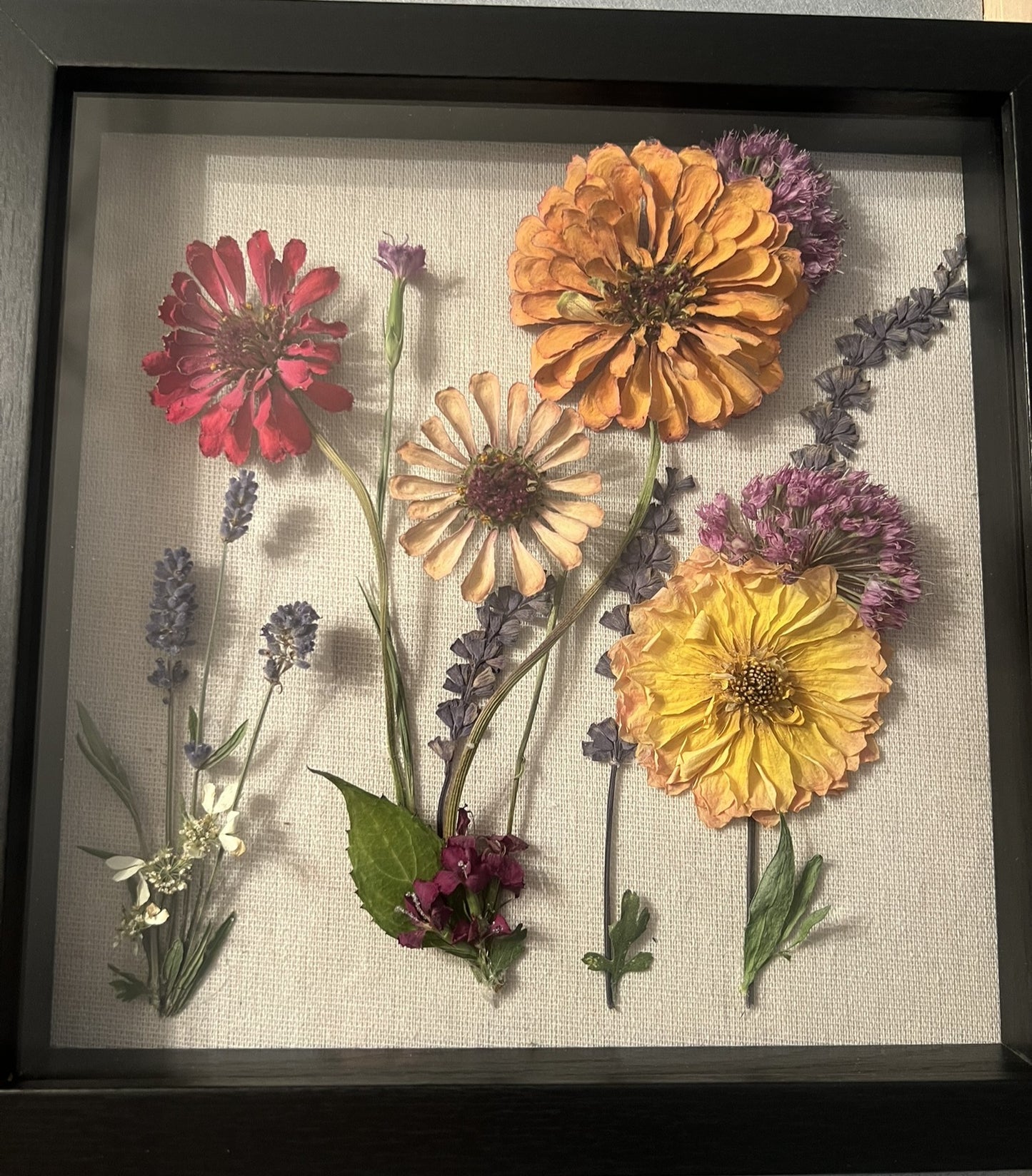 Zinnias Shadow Box