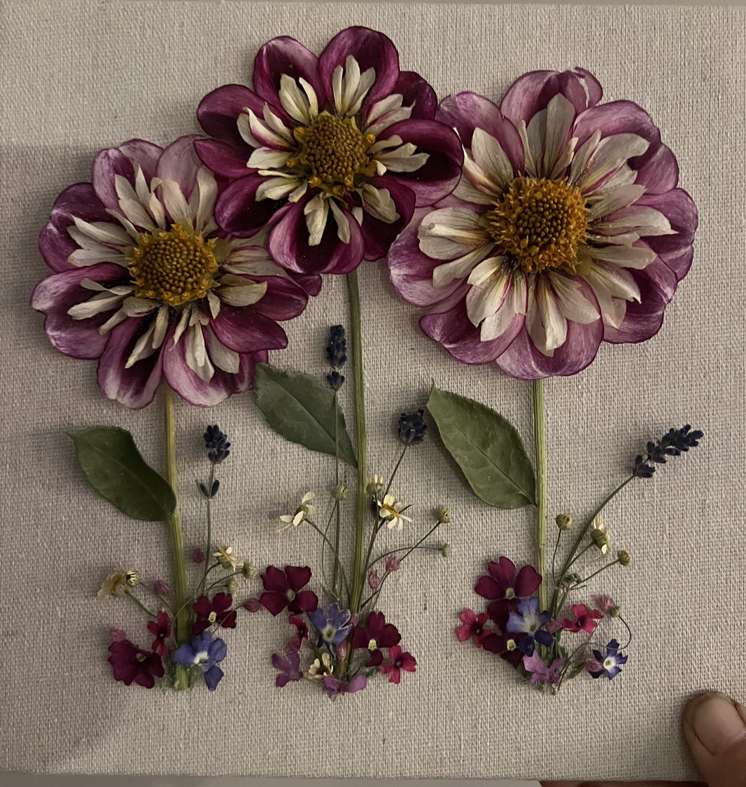 Shadow Boxes – TL Blooms