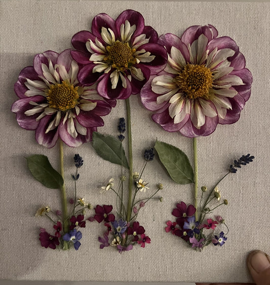 Dahlias Shadow Box