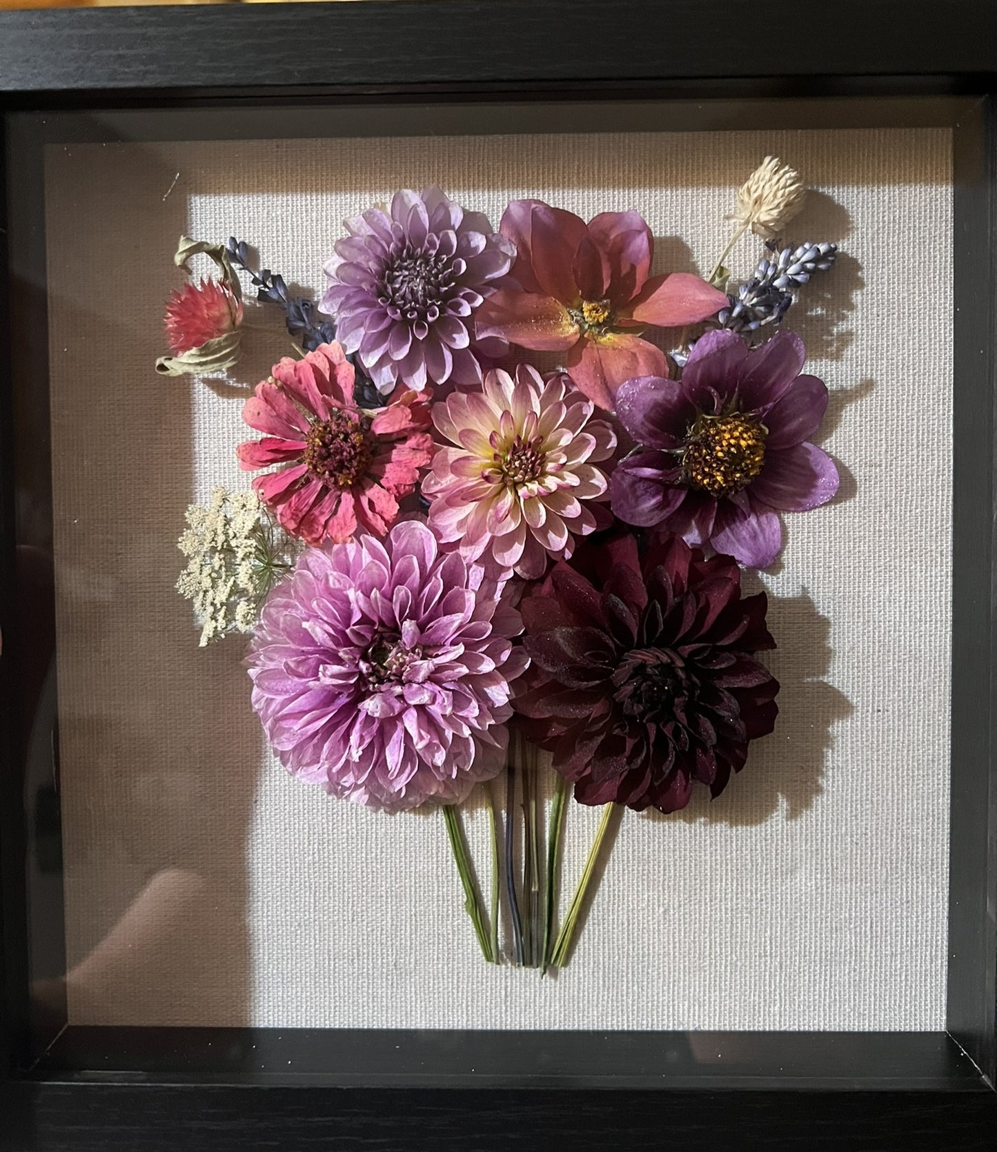 Dahlias Shadow Box