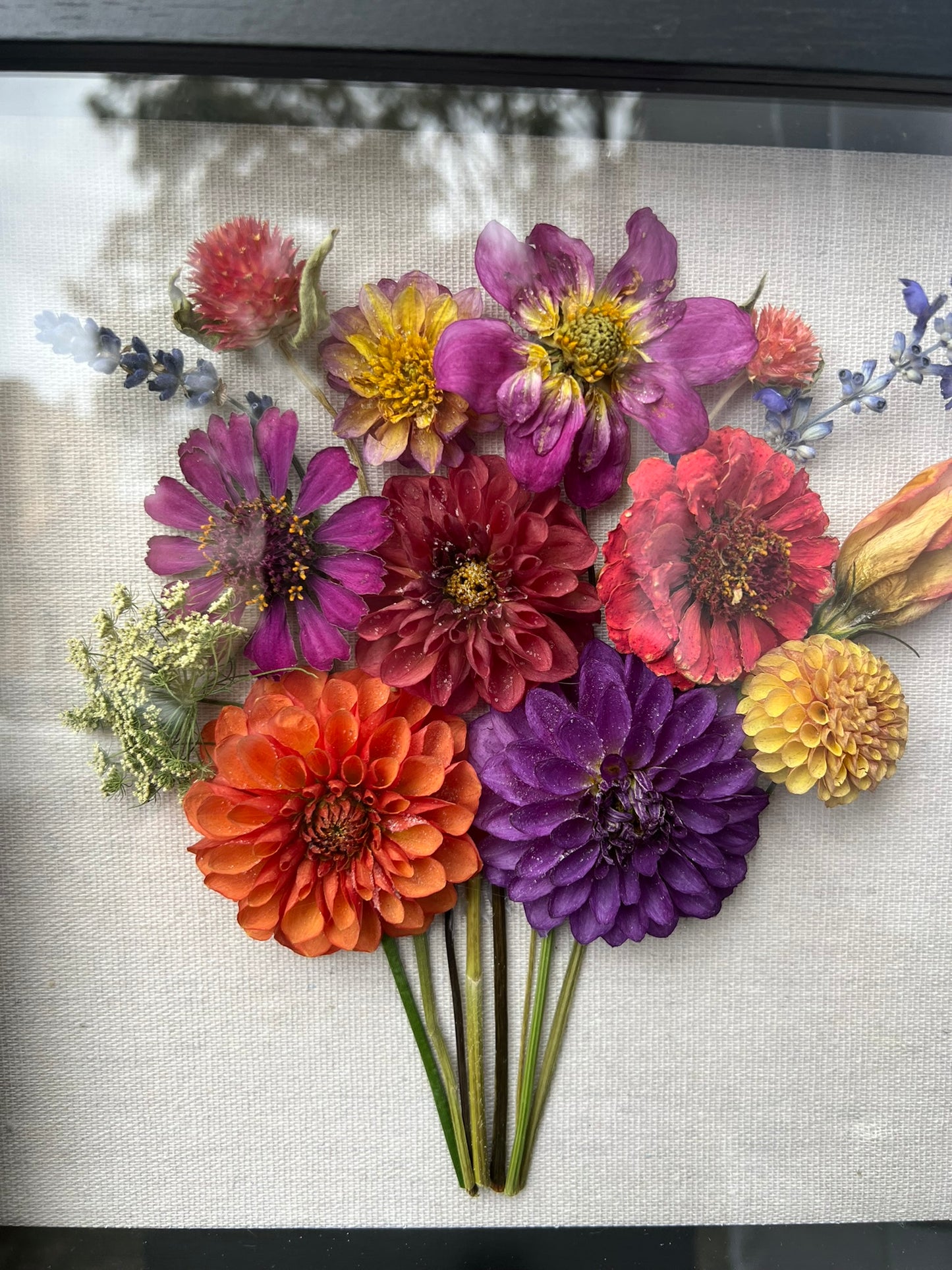 Dahlias Shadow Box
