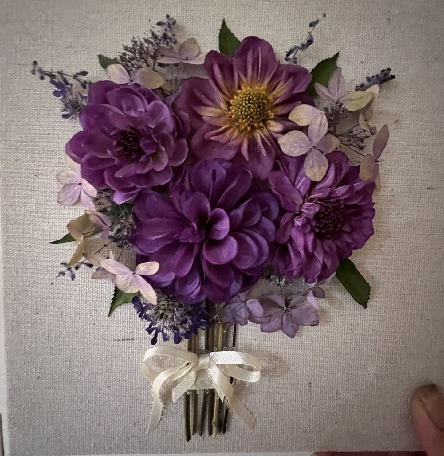 Dahlias Shadow Box